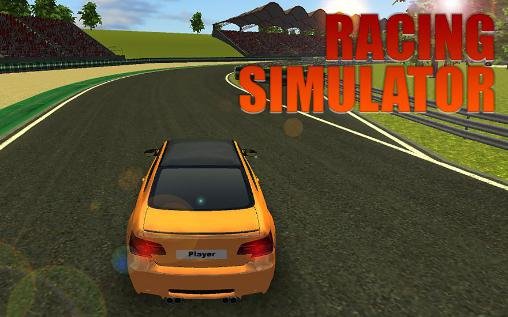 game pic for Racing simulator